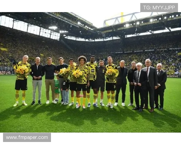 德甲球队简约风蛋糕文案推荐（球迷生日专用）