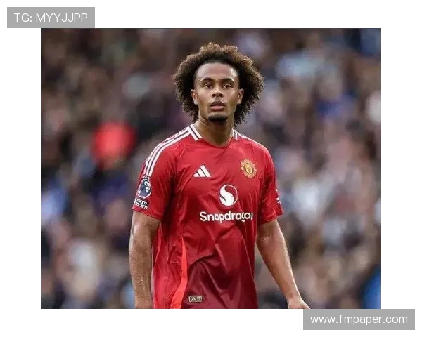 英超曼联俱乐部的荷兰籍球员及其贡献